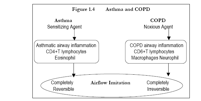 Chronic Obstructive Pulmonary Disease: